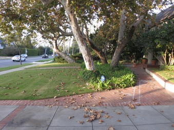 Enlarge photo 17