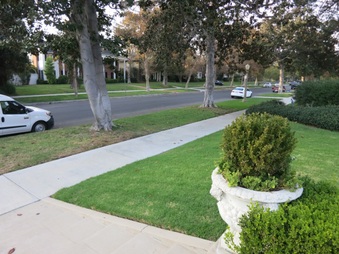 Enlarge photo 10