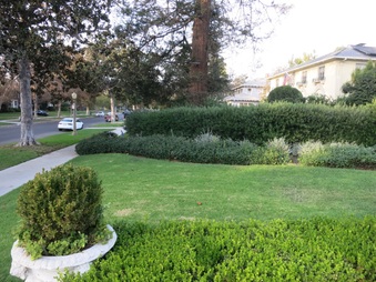 Enlarge photo 11