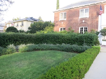Enlarge photo 13