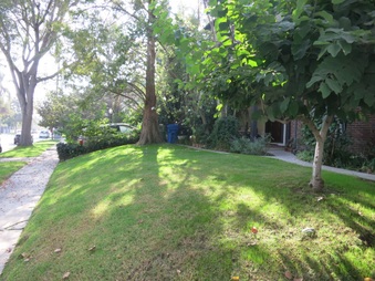 Enlarge photo 10
