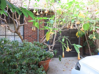 Enlarge photo 11