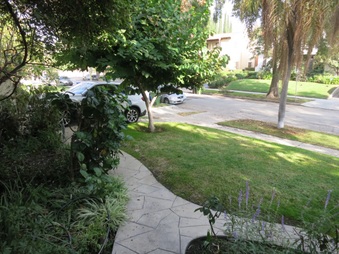 Enlarge photo 14