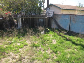 Enlarge photo 73