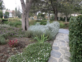 Enlarge photo 13