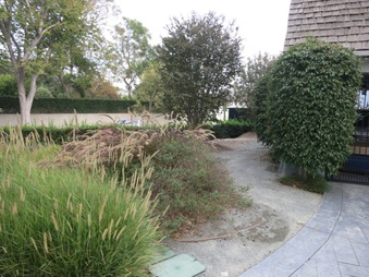 Enlarge photo 16