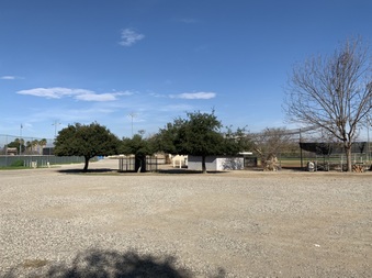 Enlarge photo 38