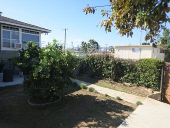 Enlarge photo 33