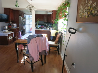 Enlarge photo 35