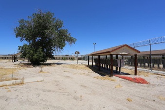 Enlarge photo 156