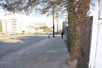 Enlarge photo 35