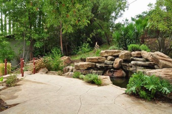 Enlarge photo 113