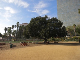 Enlarge photo 5