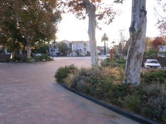 Enlarge photo 16