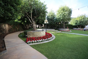 Enlarge photo 35