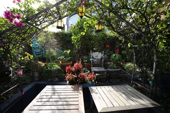 Enlarge photo 47