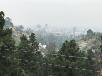 Enlarge photo 23