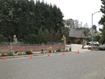 Enlarge photo 24