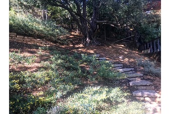 Enlarge photo 13