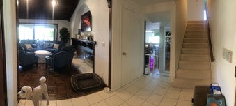 Enlarge photo 31