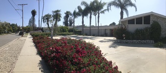 Enlarge photo 3