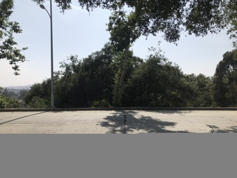 Enlarge photo 41
