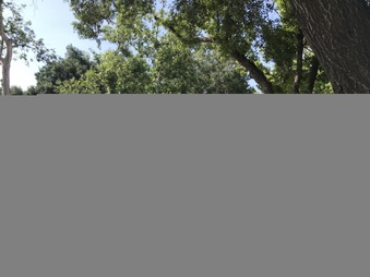 Enlarge photo 42