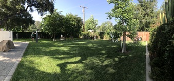 Enlarge photo 38