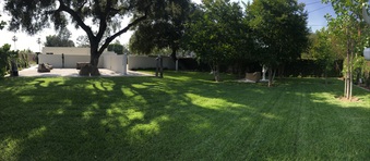 Enlarge photo 39