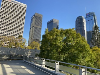 Sky Bridge