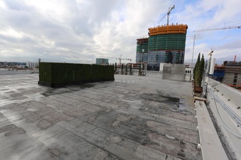 Enlarge photo 215
