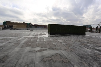 Enlarge photo 216