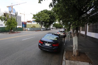 Enlarge photo 237