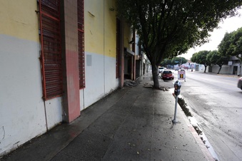 Enlarge photo 239