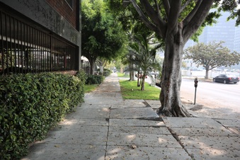 Enlarge photo 45