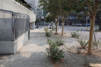 Enlarge photo 50