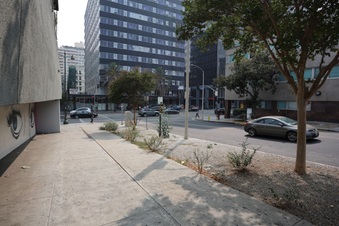 Enlarge photo 51