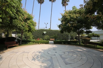 Enlarge photo 42