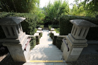 Enlarge photo 49
