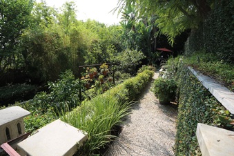 Enlarge photo 50