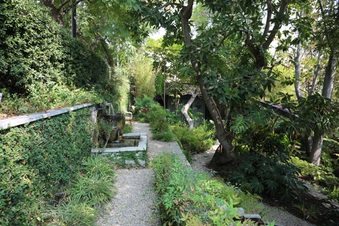 Enlarge photo 52