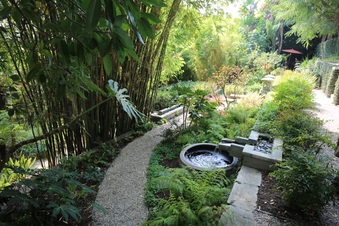 Enlarge photo 53