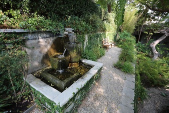 Enlarge photo 54
