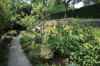 Enlarge photo 55