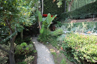 Enlarge photo 56