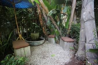 Enlarge photo 57