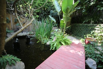 Enlarge photo 60