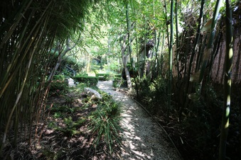 Enlarge photo 61