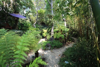 Enlarge photo 63