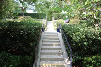 Enlarge photo 65
